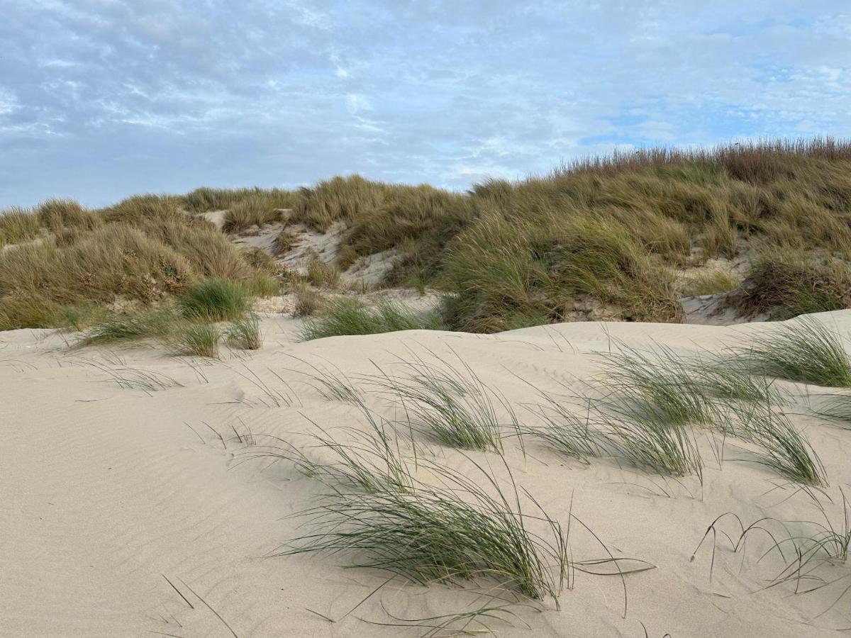 Appartement Plage Merlimont 10 Mn Berck Le Touquet Avec Jardin Esterno foto